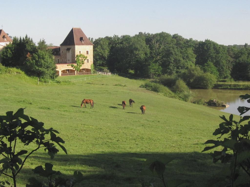 Отель Manoir Du Grand Vignoble Saint-Julien-de-Crempse Экстерьер фото